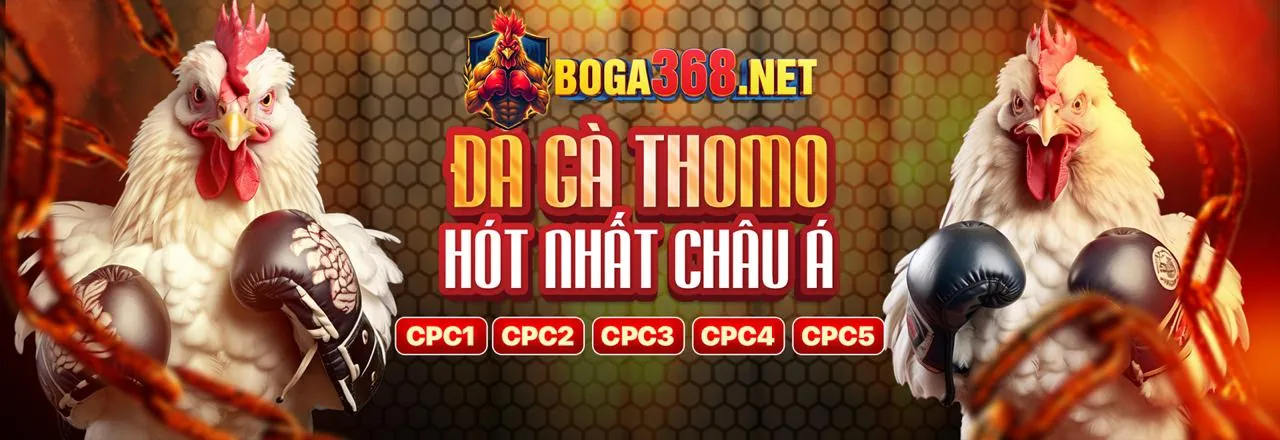 Đấu trường đá gà trực tuyến 66biz sôi động